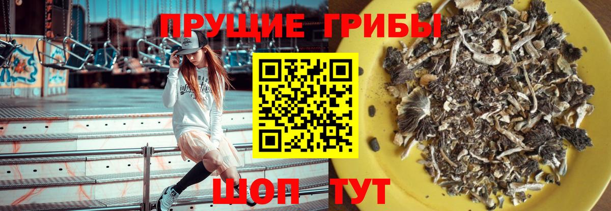 Галлюциногенные грибы ЛСД Глазов