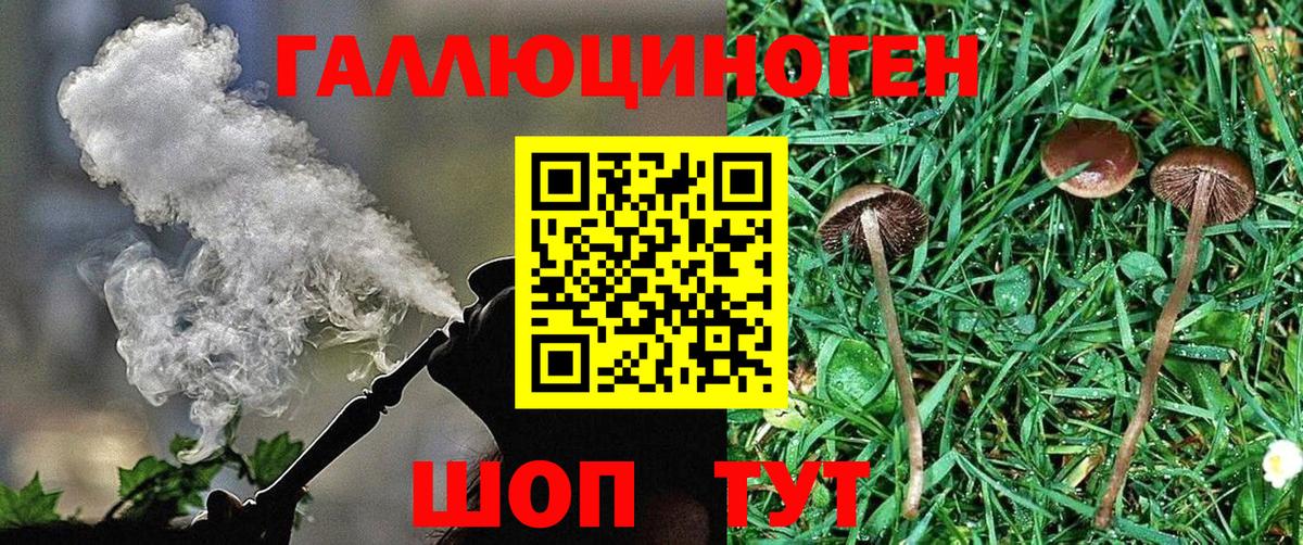 Галлюциногенные грибы Cubensis  Вход с VPN  купить   Глазов  Псилоцибиновые грибы Magic Shrooms 